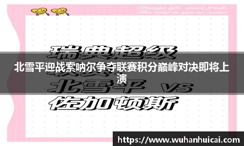 北雪平迎战索呐尔争夺联赛积分巅峰对决即将上演